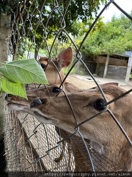 S__82190393 S__82190393