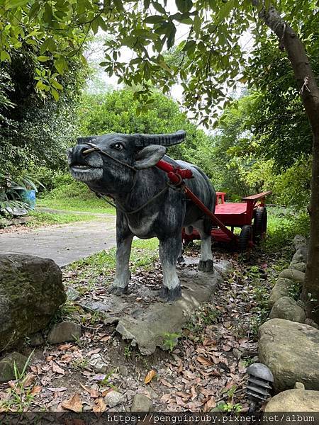 S__82190397 S__82190397