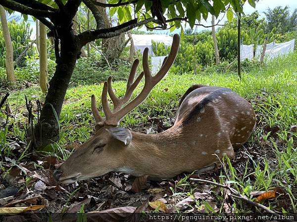 S__82190379 S__82190379