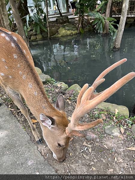 S__82190374 S__82190374