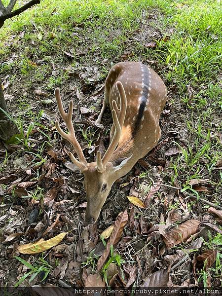 S__82190375 S__82190375