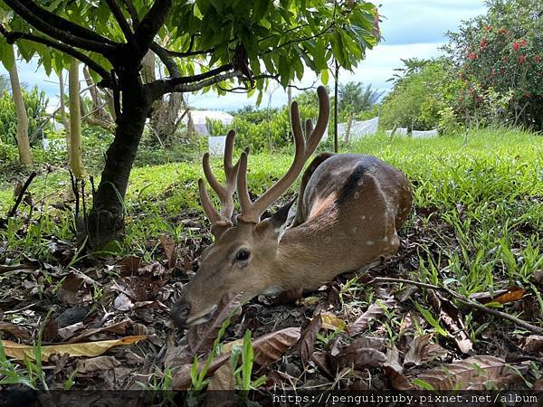 S__82190377 S__82190377