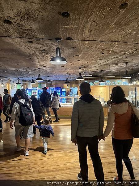 S__88309774 S__88309774