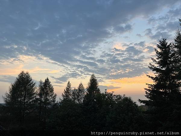 S__89530377_0 S__89530377_0