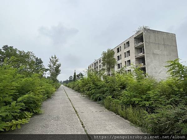 S__89538565_1 S__89538565_1