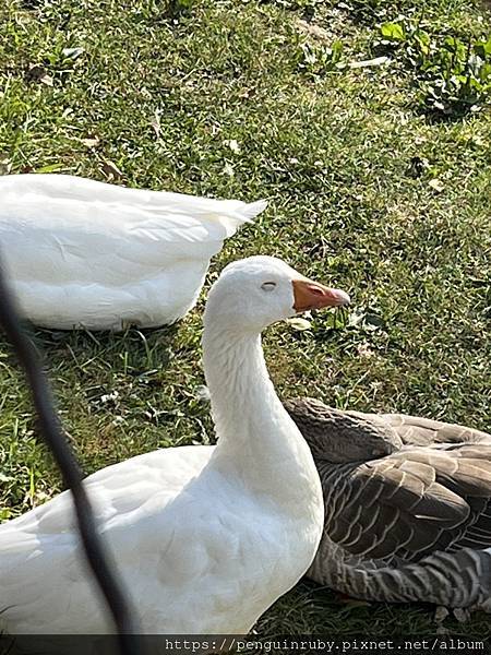 波士尼亞 Bosnia & Herzegovinabanj 波士尼亞 Bosnia & Herzegovinabanj