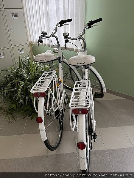 愛沙尼亞Estonia Saaremaa 外島kuress 愛沙尼亞Estonia Saaremaa 外島kuress