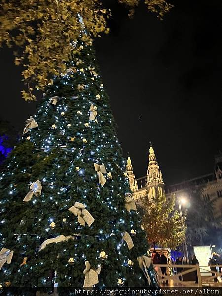 奧地利2023 不可錯過的維也納市政廳Rathauspla 奧地利2023 不可錯過的維也納市政廳Rathauspla