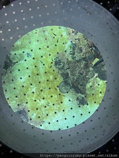 奧地利二戰時期的高射砲塔演變而成的維也納水族館Haus d 奧地利二戰時期的高射砲塔演變而成的維也納水族館Haus d