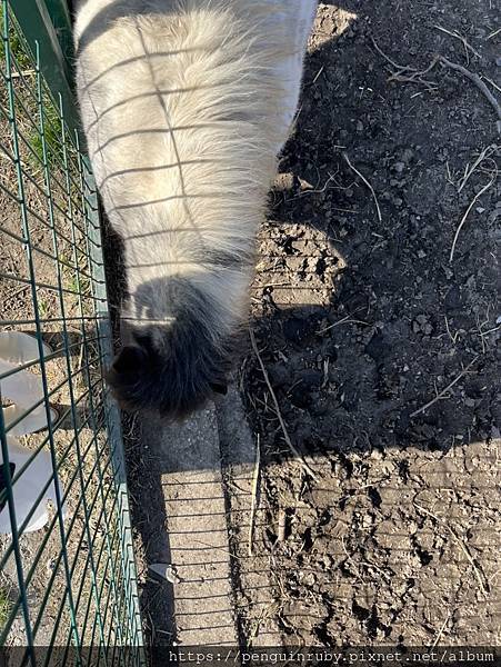 斯洛伐克slovakia布拉提斯拉瓦周遭城鎮餐廳推薦Reš 斯洛伐克slovakia布拉提斯拉瓦周遭城鎮餐廳推薦Reš