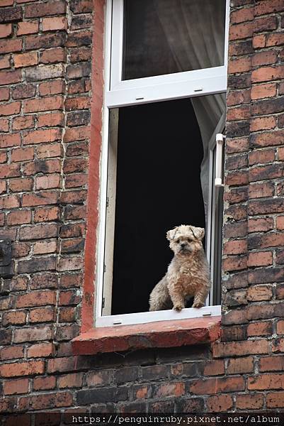 波蘭鄰近Katowice的帶有採礦歷史的波蘭官方國家古蹟區 波蘭鄰近Katowice的帶有採礦歷史的波蘭官方國家古蹟區