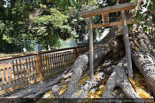 【大阪景點】日本最美御守!從市區出發輕鬆抵達的大鳥神社 【大阪景點】日本最美御守!從市區出發輕鬆抵達的大鳥神社