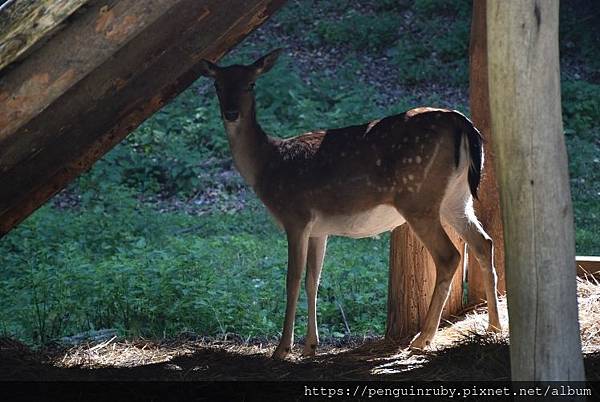 匈牙利 Hungary 自由行攻略(最佳旅遊時間,插座,交通 匈牙利 Hungary 自由行攻略(最佳旅遊時間,插座,交通