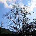 IMG_0024.JPG