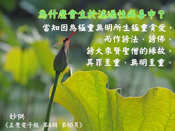 20150709生於濾過性病毒之中(加註文字說明).jpg