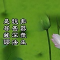 20151123非器眾生說甚深法是菩薩謬.jpg