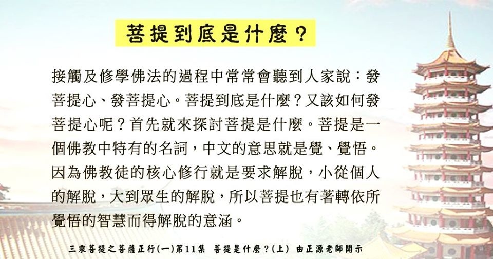 0602貼 菩提到底是什麼？82348705_2893254384240989_3698520149607841792_o.jpg