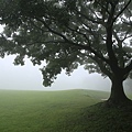 1204貼 fog-4509607__480.jpg