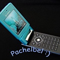 pachelbe1-img600x450-1136489447v604shb02-2.jpg