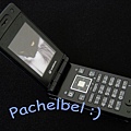 pachelbe1-img600x450-1142081283v403shk02-3.jpg