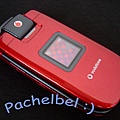 pachelbe1-img600x450-1130084645902tr01-2.jpg