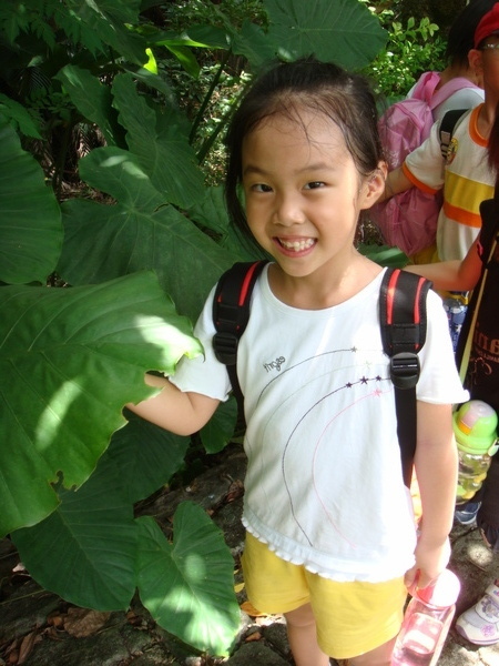 我在植物園