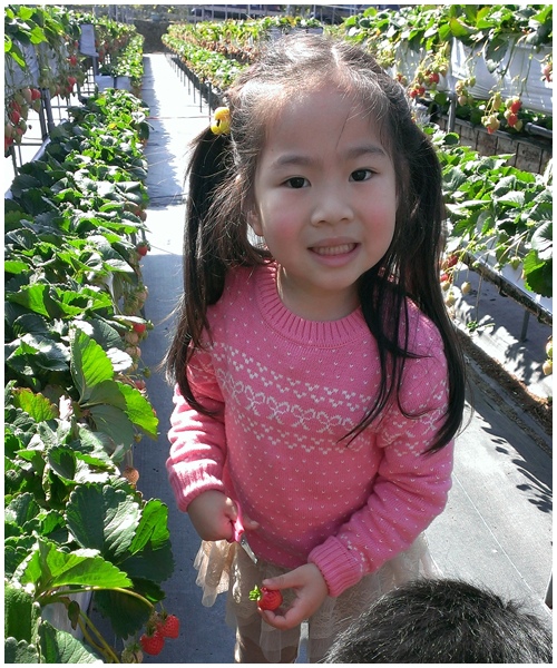 20140201-山頂草莓園-6.jpg