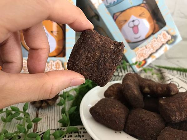 白爛貓餅乾_190722_0016.jpg 白爛貓餅乾_190722_0016.jpg