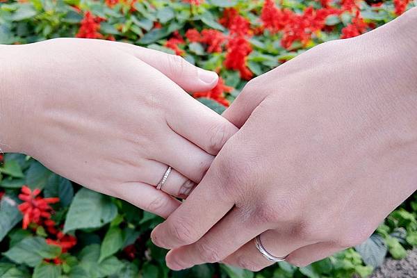 202022_200203_0017.jpg 202022_200203_0017.jpg