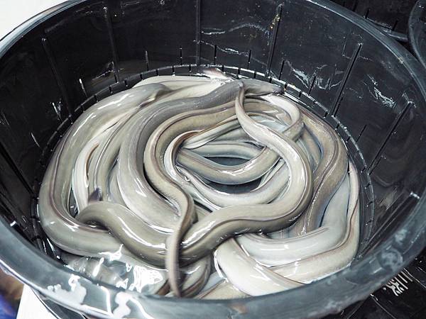 三河屋鰻魚飯_201019_9.jpg 三河屋鰻魚飯_201019_9.jpg