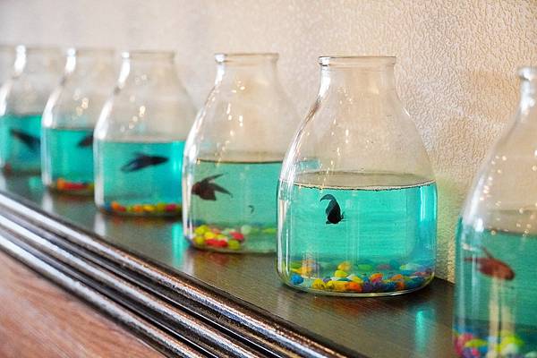 菁森 極の盛鍋_210510_12.jpg