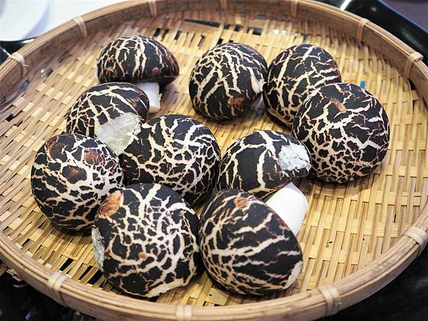 愛妮雅_210511_303.jpg 愛妮雅_210511_303.jpg