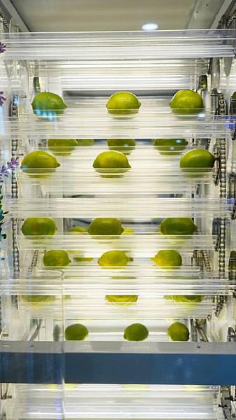 LINE_ALBUM_一青檸_220710_6.jpg LINE_ALBUM_一青檸_220710_6.jpg