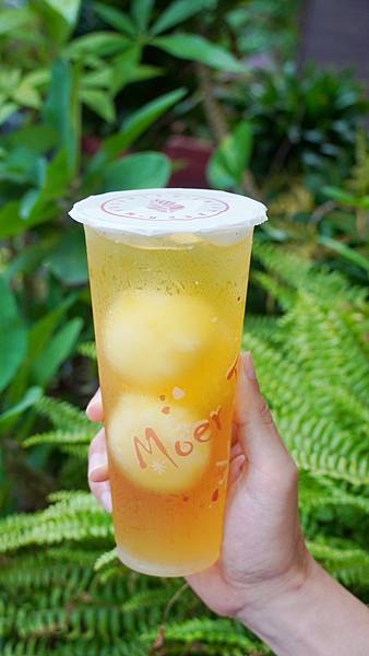 LINE_ALBUM_莫二 烏龍專賣_230903_36.jpg