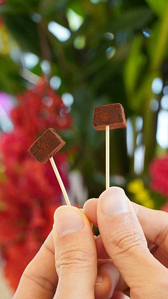 LINE_ALBUM_朱惠妃手製生巧轉賣店_240113_21.jpg LINE_ALBUM_朱惠妃手製生巧轉賣店_240113_21.jpg