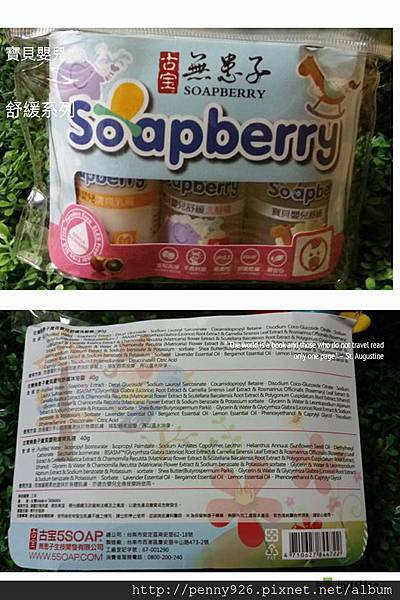 soapberry-1.jpg