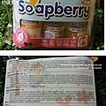 soapberry-1.jpg