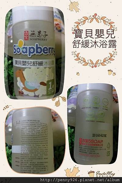 soapberry-4.jpg