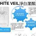 WHITE VEIL1.JPG