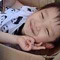 DSC03438.jpg