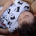 DSC03427.jpg
