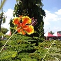 DSC02042.jpg