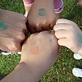 DSC03326.jpg