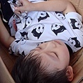 DSC03426.jpg