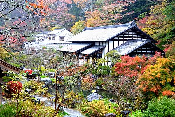 花寺吉祥寺 青龍山 四季更迭 景緻各異 到處趴趴走的陳小胖 痞客邦