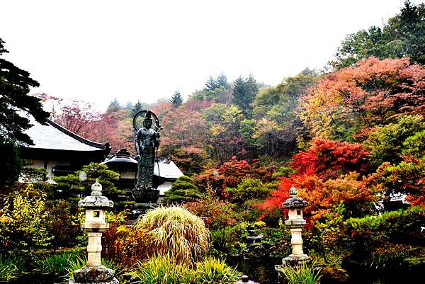 花寺吉祥寺 青龍山 四季更迭 景緻各異 到處趴趴走的陳小胖 痞客邦