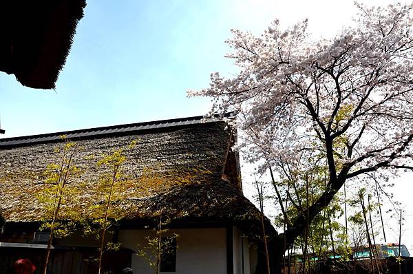 北關東之頂級旅宿【悠湯里庵】頂級豪奢.有如博物館的溫泉旅宿