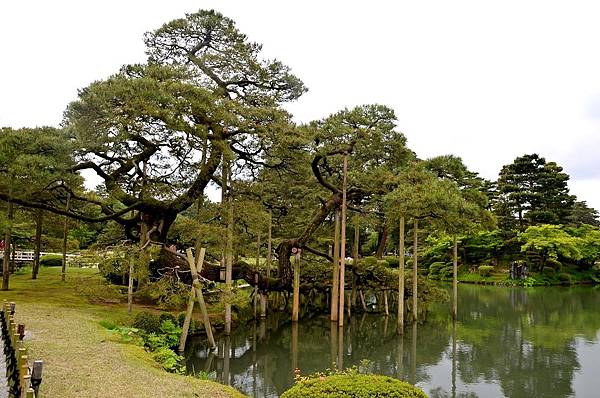 日本三大名園之一.文化財指定庭園～兼六園