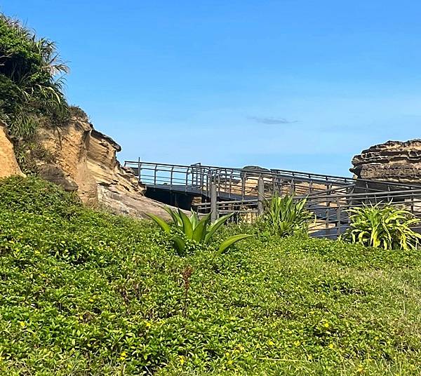 探索野柳地質公園.讚嘆大自然的鬼斧神工→【女王頭】我來了..