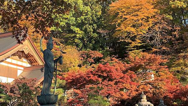 |青龍山.吉祥寺|有『花寺』之美名—北關東賞楓名所